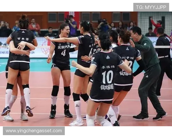 北京排球队战术创新引发热议助力球队重回巅峰之路