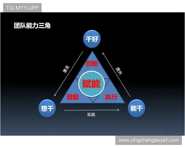 武汉排球队灵活性解析:战术创新与团队协作的完美结合