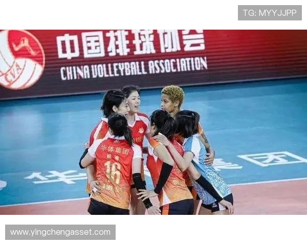 杭州排球队力量争议引发热议球迷与专家观点交锋激烈