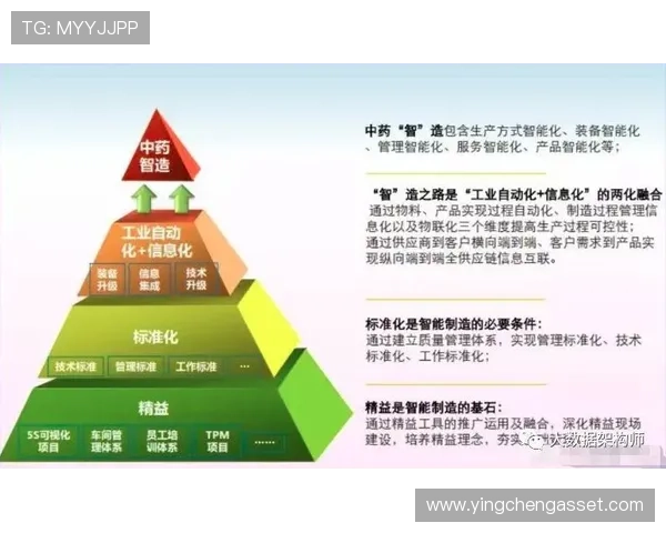 杭州网球队转型之路：探索网球深度与未来发展的新机遇